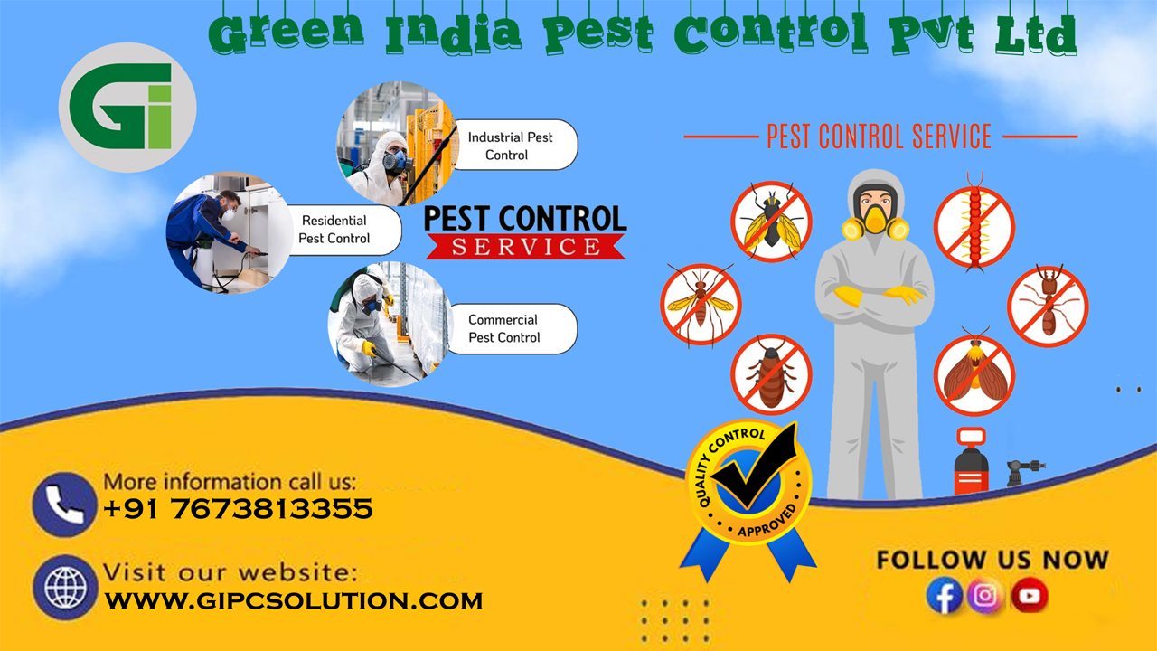 Cockroach Pest Control Sevices, Bed Bug Pest Control Services Patna, Bihar