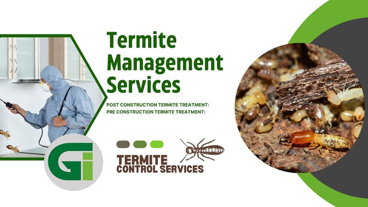 Commercial Pest Control Services in Patna, Bihar