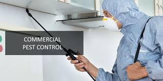 pest control services in patna