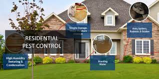 Residential Pest control service in Patna