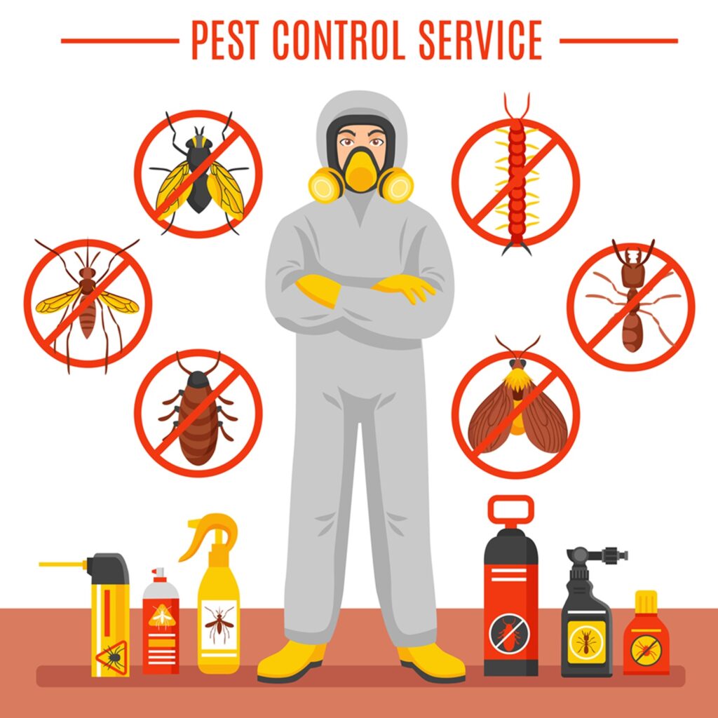 Best Pest Control Services – Protect Your Home & Business from Pests