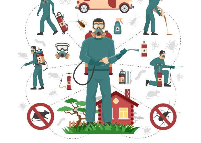 Professional pest control services experts handling all aspects of pest removal flat infographic advertisement poster vector illustration